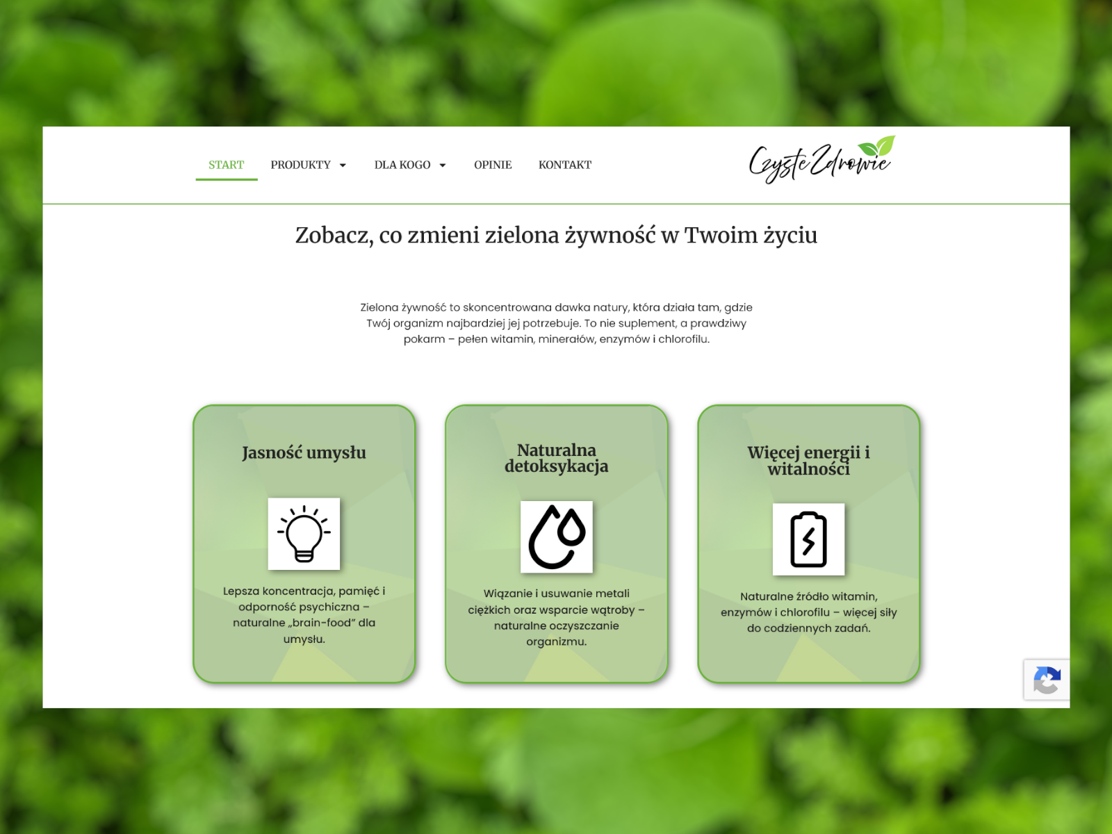 Strona informacyjna